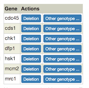 genotype page gene table