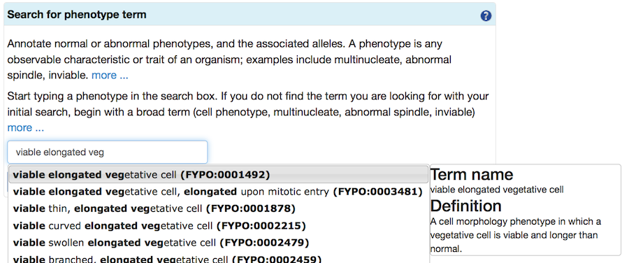 FYPO term search